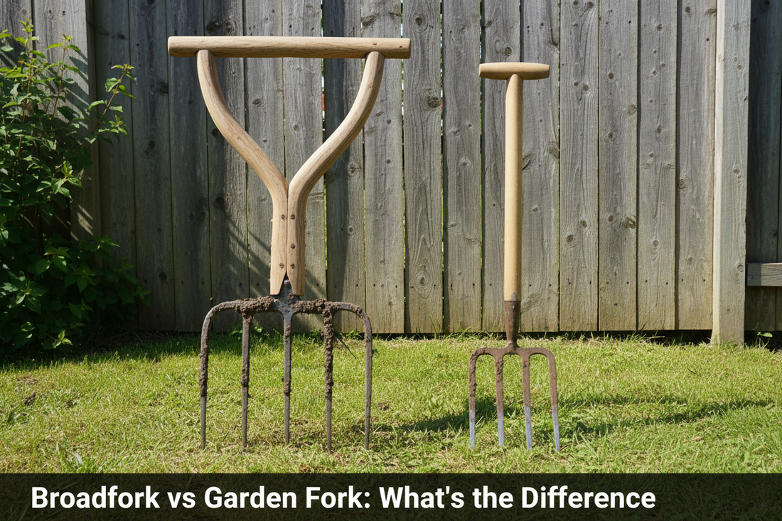 Broadfork vs Garden Fork: What’s the Difference?