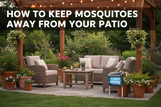 How to Reduce Mosquitoes Around Your Patio Naturally and Practically