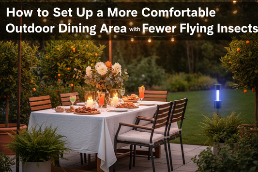 How to Set Up a More Comfortable Outdoor Dining Area with Fewer Flying Insects