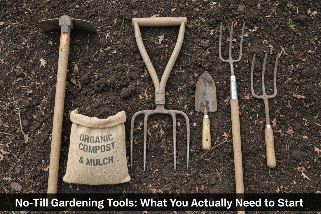 No-Till Gardening Tools: What You Actually Need to Start
