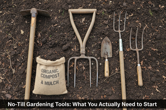No-Till Gardening Tools: What You Actually Need to Start