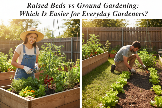 Raised Beds vs Ground Gardening: Which Is Easier for Everyday Gardeners?
