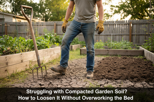 Struggling with Compacted Garden Soil? How to Loosen It Without Overworking the Bed