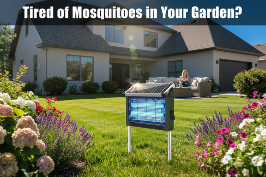 Tired of Mosquitoes Around Your Garden? Simple Ways to Make Yard Time More Comfortable