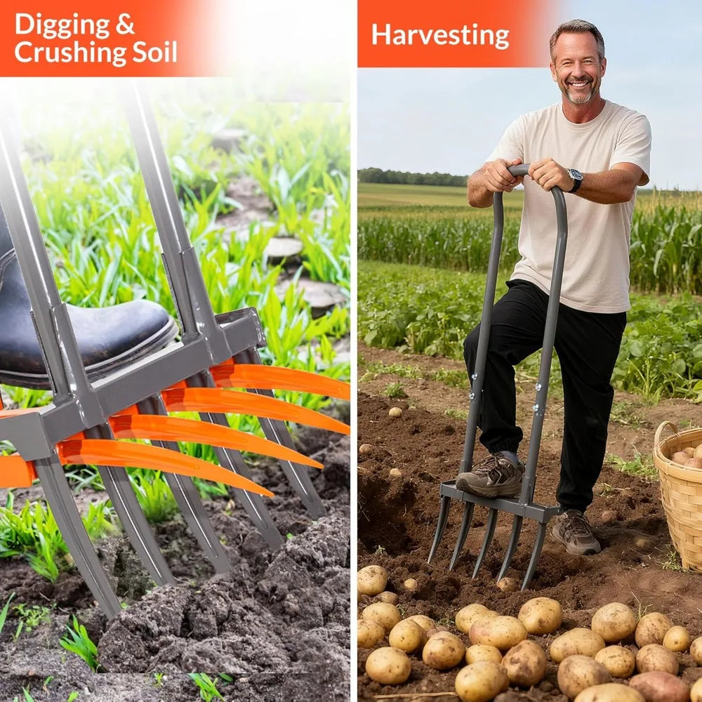Two images showing a garden fork being used for digging and crushing soil, and harvesting potatoes.